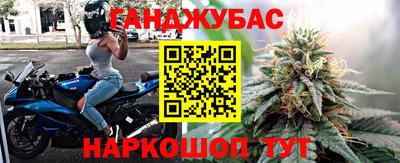 apvp Славгород